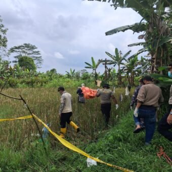 Mayat Perempuan Tanpa Identitas Membusuk di Tepi Sawah, Warga Merah Mata Gempar ⠀