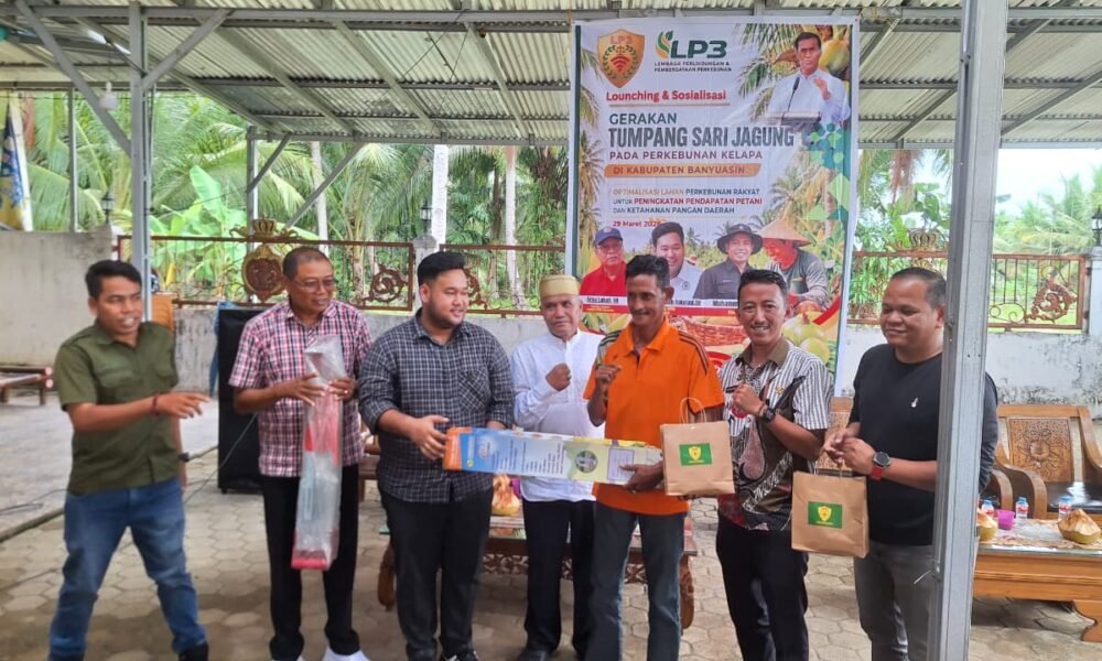 Dorong Kesejahteraan Petani, LP3 Launching Gerakan Tumpang Sari Jagung di Banyuasin Dorong Kesejahteraan Petani, LP3 Launching Gerakan Tumpang Sari Jagung di Banyuasin