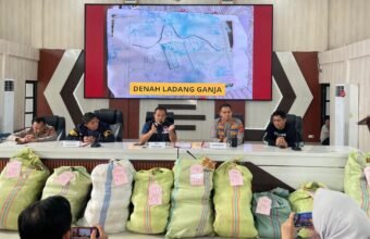 Bongkar Ladang Ganja di Empat Lawang, Polda Sumsel Sita 220 Kg Ganja, Jaringan Lintas Provinsi hingga Jawa