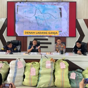 Bongkar Ladang Ganja di Empat Lawang, Polda Sumsel Sita 220 Kg Ganja, Jaringan Lintas Provinsi hingga Jawa