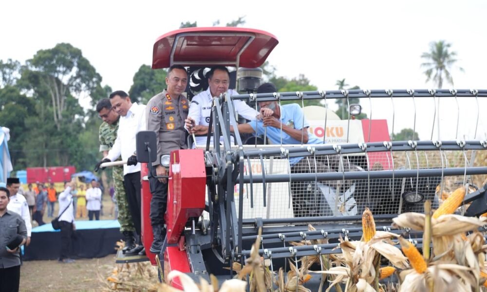 Sinergi Lintas Sektor, Kapolda Sumsel Pimpin Panen Raya Jagung dan Dorong Swasembada Pangan Sinergi Lintas Sektor, Kapolda Sumsel Pimpin Panen Raya Jagung dan Dorong Swasembada Pangan