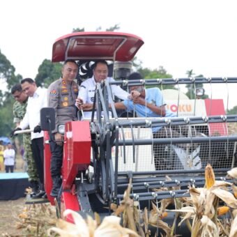 Sinergi Lintas Sektor, Kapolda Sumsel Pimpin Panen Raya Jagung dan Dorong Swasembada Pangan