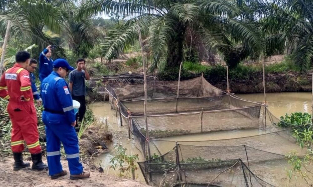 Medco E&P Grissik Dukung Budidaya Lele untuk Dorong Kemandirian Ekonomi Masyarakat
