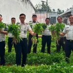 PWI Laporkan Hotman Paris ke Polda Metro Jaya, Gegara Ucapan “Lu Punya Otak Nggak” ke Wartawan