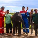 Gubernur Herman Deru Tegaskan Dukungan Penuh Sumsel Terhadap Program MBG