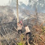 Bawa Kabur Motor dari Teras Rumah, Aksi Pria 25 Tahun Terbongkar Lewat CCTV