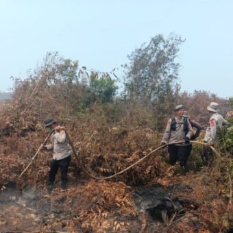 Hari Keempat Penanganan Karhutla, Satbrimob Polda Sumsel Fokus Padamkan Bara di Lahan Gambut